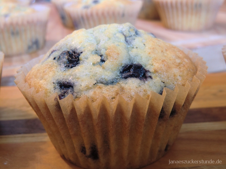 Blueberry Muffin 